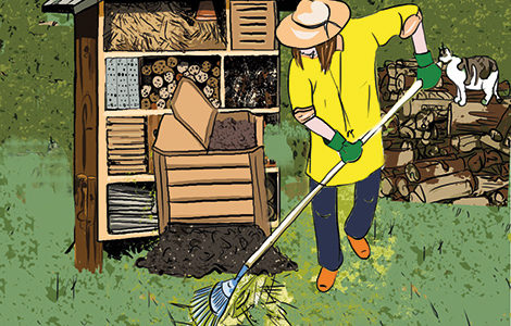 LA BAIE D’AUTHIE, UN JARDIN POUR LA BIODIVERSITÉ