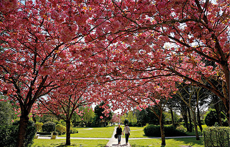 LES JARDINS DE LA MANCHE