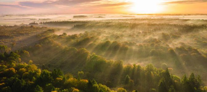 EXPOSITION CONCOURS « MON PLUS BEAU COIN NATURE DES HAUTS DE FRANCE »