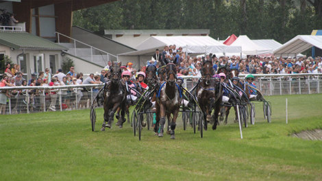 COURSES AU TROT