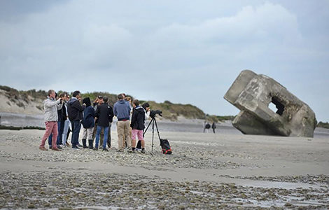 OBSERVATION DE LA COLONIE DE PHOQUES