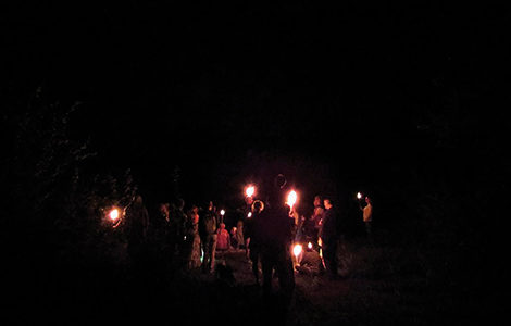 TOURBIÈRE AU CRÉPUSCULE