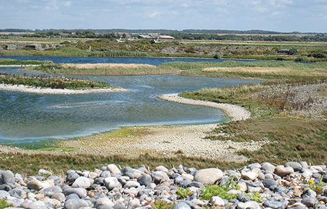 SORTIE NATURE « LES RICHESSES DE L’ESTUAIRE »