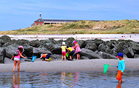 ATELIER PÊCHE À PIED