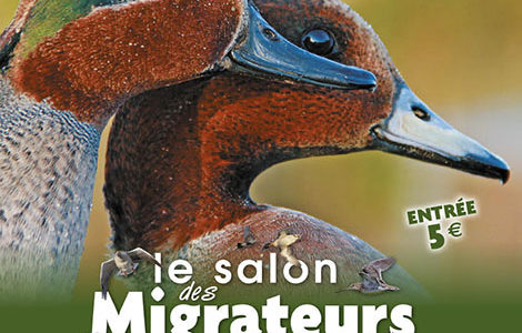 SALON DES MIGRATEURS