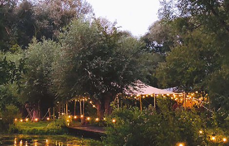 SURPRISE AU-DESSUS DE L’ÉTANG