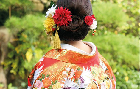 JARDIN JAPONAIS DE MUSICA NIGELLA