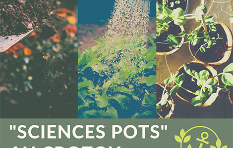 SCIENCES POTS, LE MARCHÉ AU JARDIN - ÉDITION SPÉCIALE