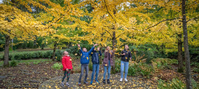 VISITE GUIDÉE DES JARDINS