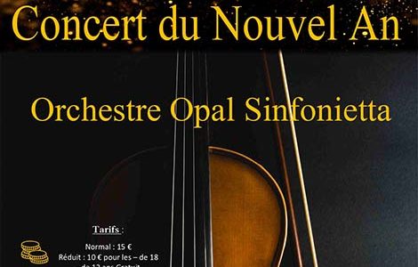 CONCERT D’OPAL SINFONIETTA