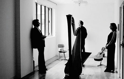 PINCÉES DE RÊVE, TRIO POLYCORDES