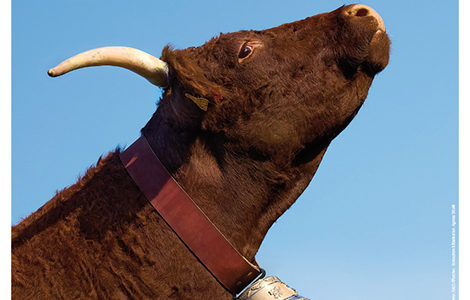DÉPLACEMENT AU SALON DE L’AGRICULTURE