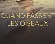 PROJECTION « QUAND PASSENT LES OISEAUX »