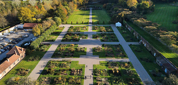 LES COMESTIBLES MÉCONNUES DES JARDINS