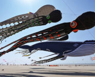 JOURNÉE MONDIALE DU CERF-VOLANT