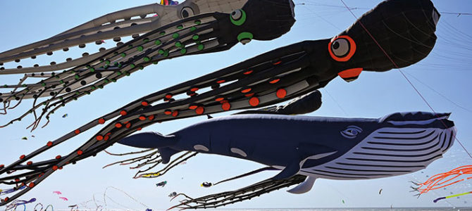 JOURNÉE MONDIALE DU CERF-VOLANT