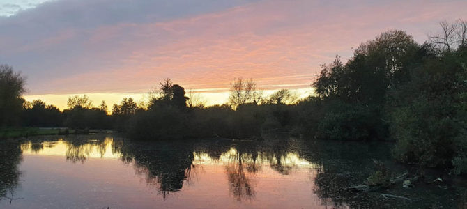 LA BOUVAQUE AU CRÉPUSCULE