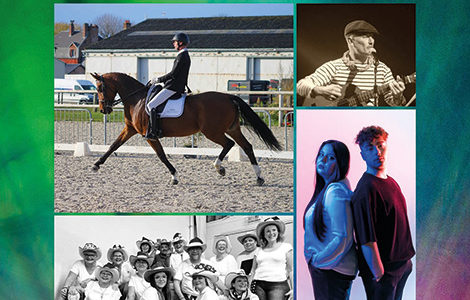 SON ET LUMIÈRE ÉQUESTRE