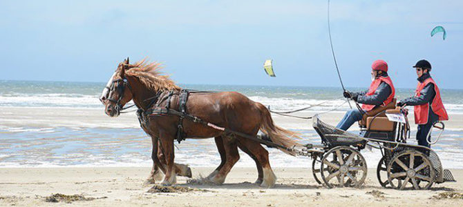 MARATHON D’ATTELAGE SUR LA PLAGE