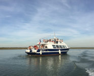 DÉCOUVERTE DE LA BAIE EN BATEAU