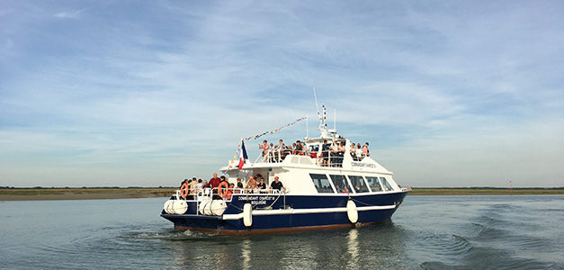 DÉCOUVERTE DE LA BAIE EN BATEAU