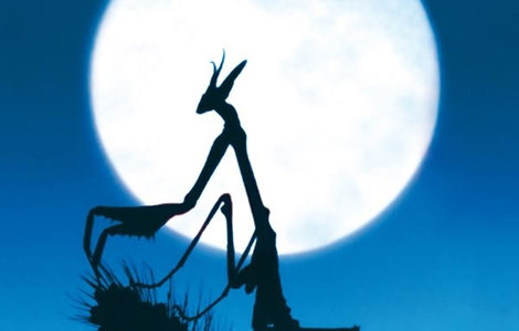 MICROCOSMOS - Festival de l’Oiseau et de la Nature