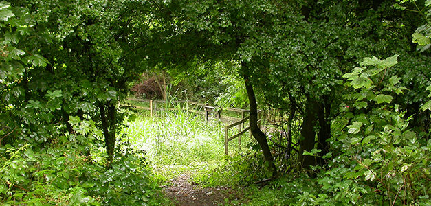 EN VADROUILLE ENTRE SOURCES, BOIS ET PRAIRIES 