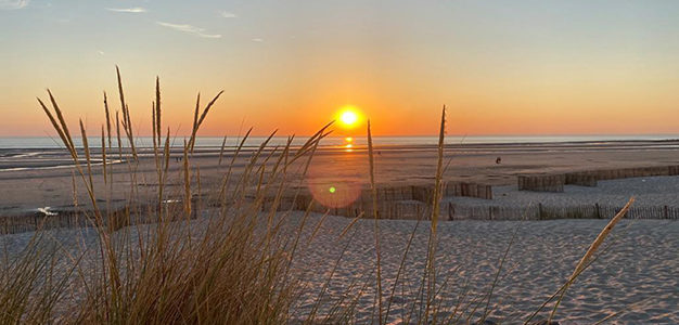 LA BIODIVERSITÉ DU CRÉPUSCULE
