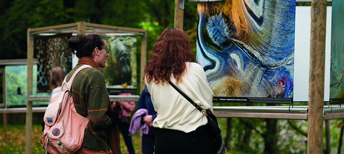 CONCOURS PHOTO DU FESTIVAL INTERNATIONAL NATURE NAMUR