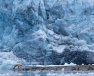 CONFÉRENCE SUR L’EXPOSITION « CHEMIN DU NORD »