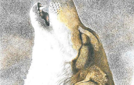 EXPOSITION DE PEINTURES