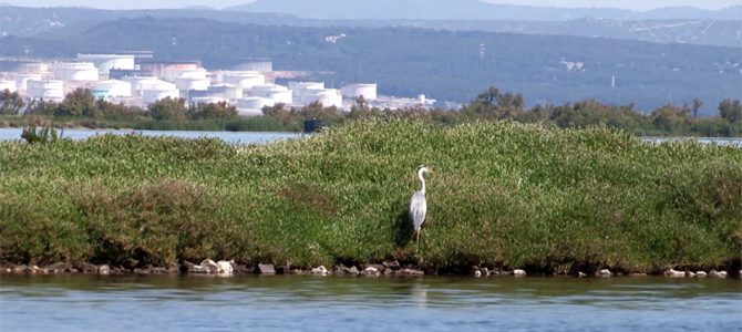 MÉDITERRANNÉE 2100