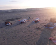 SOPHRO DÉTENTE SUR LA PLAGE