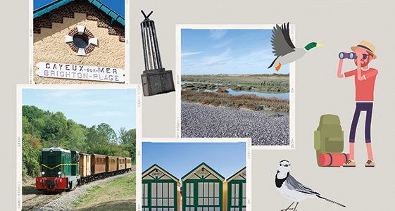 TRAIN DES RANDONNEURS ET DÉCOUVERTE ORNITHO AU HÂBLE D’AULT