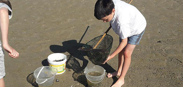 INITIATION À LA PÊCHE À PIED