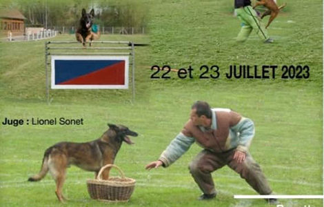 CONCOURS DE CHIEN D’UTILITÉ EN RING