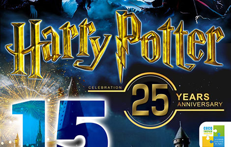 FEU D’ARTIFICE SUR LE THÈME « HARRY POTTER »
