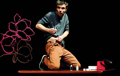 INSULINE ET MAGNOLIA - STANISLAS ROQUETTE