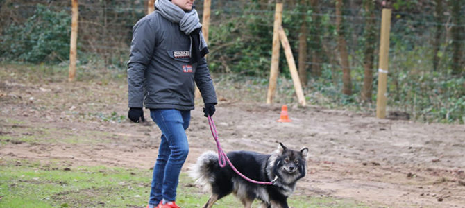 CONCOURS CANIN IGP