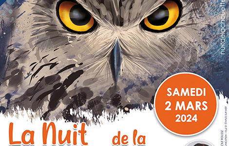 NUIT DE LA CHOUETTE