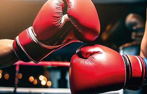 GALA DE BOXE ÉDUCATIVE