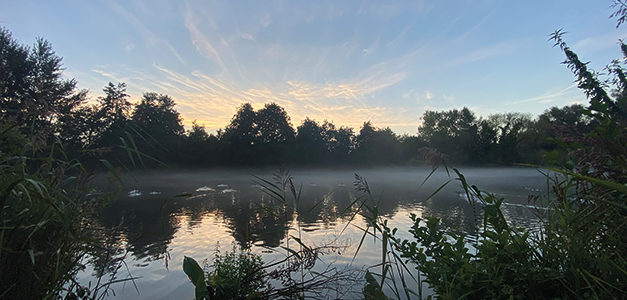 LES NUITS DE LA CHAUVES-SOURIS AU PARC DE LA BOUVAQUE