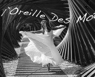 DANSER À L’OREILLE DES MOTS