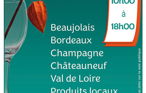 SALON DES VINS ET DES GOURMETS, DIRECT PRODUCTEURS !