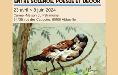 FAUNE ET FLORE. ENTRE SCIENCE, POÉSIE ET DÉCOR