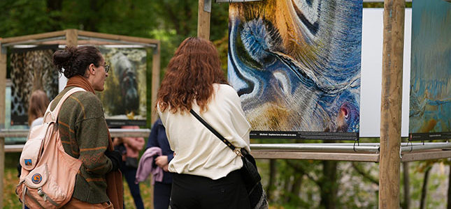 CONCOURS PHOTOS DU FESTIVAL INTERNATIONAL NATURE NAMUR