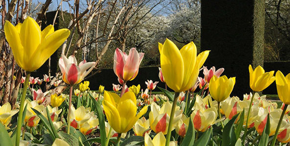 EXPOSITION DE POÈMES SUR LE THÈME DES JARDINS