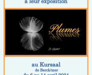 EXPOSITION DE PRINTEMPS "PLUMES"