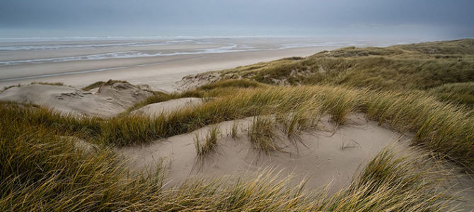 LA VIE DISCRÈTE DES DUNES