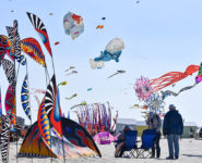 JOURNÉE MONDIALE DU CERF-VOLANT